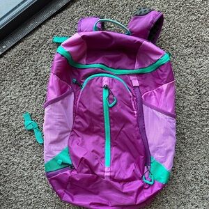 Backpacking bag